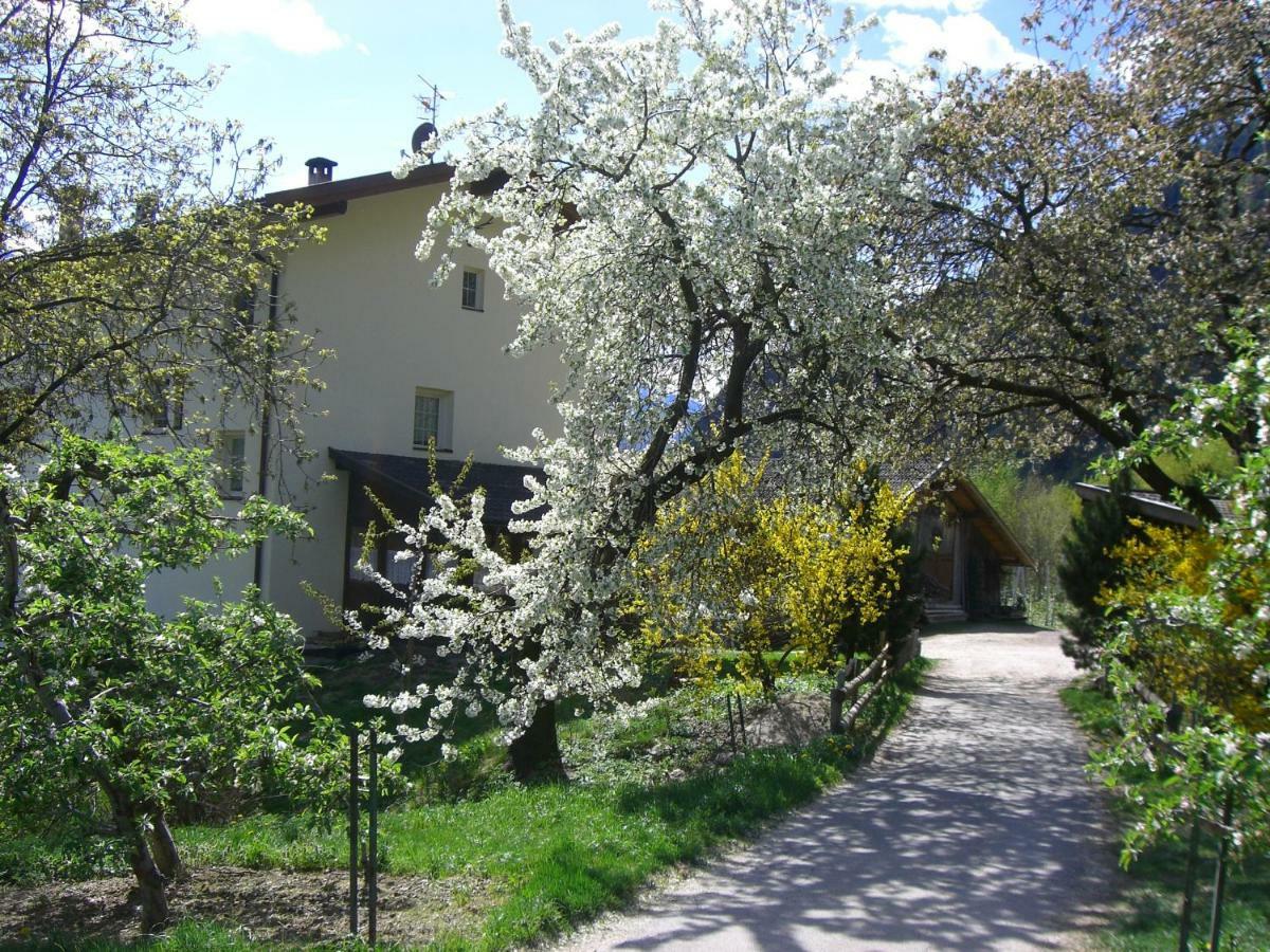 帕尔奇内斯Mareinhof - Urlaub Auf Dem Apfelbauernhof公寓 外观 照片