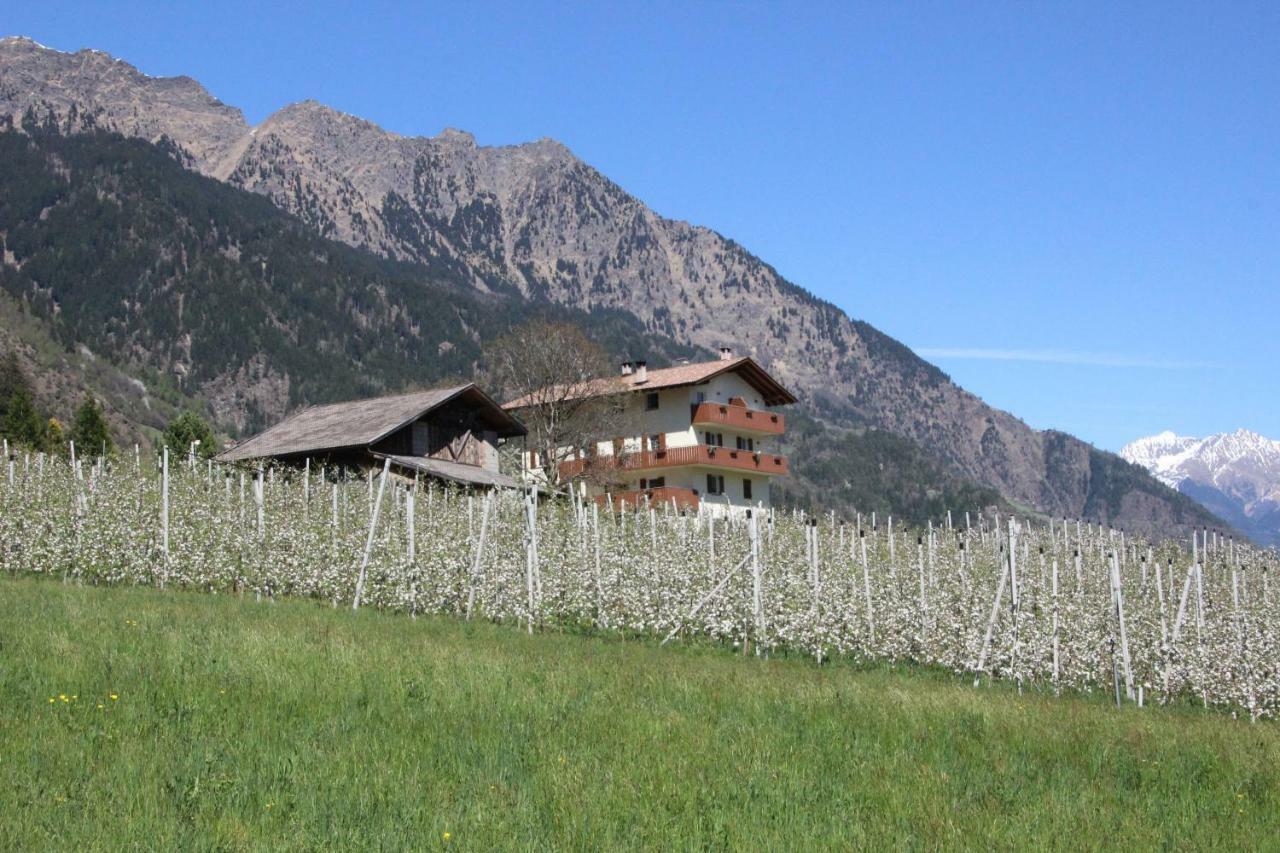 帕尔奇内斯Mareinhof - Urlaub Auf Dem Apfelbauernhof公寓 外观 照片